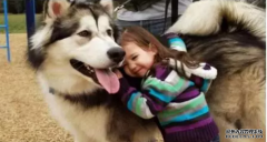 <b>這幾種表現證明狗狗真的很愛你！</b>