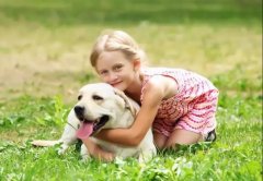 養狗一陣子，狗記一輩子