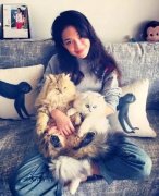 全世界最貴的貓都在這了！大多數人一輩子都沒